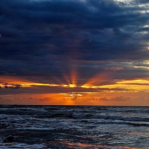 Meet the Posher Other - Meet your Posher, Tony